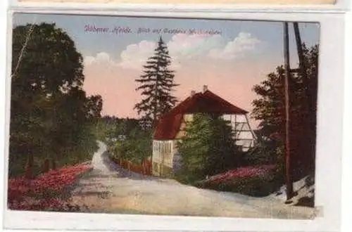 49014 Ak Dübener Heide Gasthaus Wachtmeister um 1920