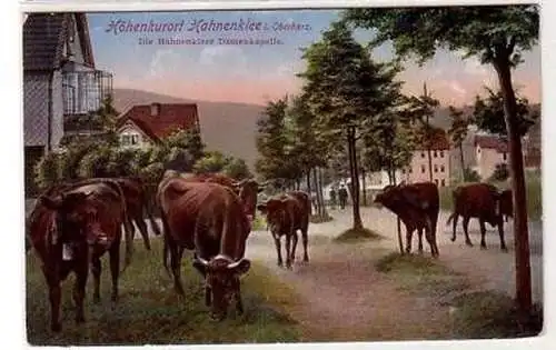 43162 Ak Höhenkurort Hahnenklee im Oberharz 1916