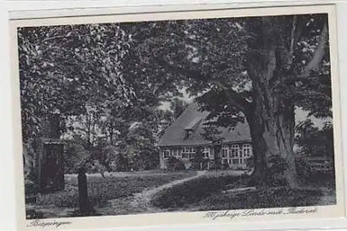 37768 Ak Bispingen 500jährige Linde mit Pastorat um1940