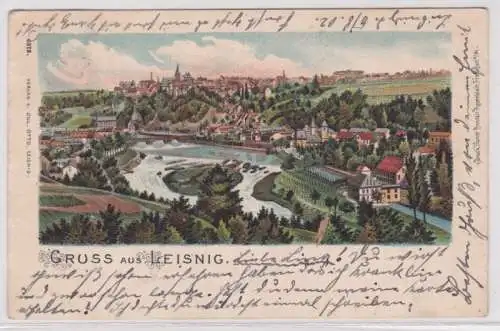 16618 Ak Gruss aus Leisnig, Totalansicht 1902