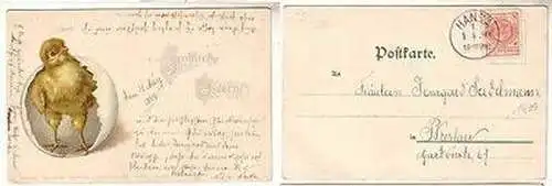 01082 Oster Ak Küken schaut aus Ei mit Hansa Privatpostbeförderung 1899