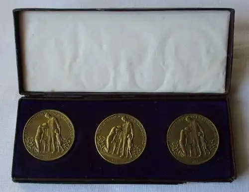 3 Stück Hungermedaille Des deutschen Volkes Leidensweg 1923 im Etui (163952)