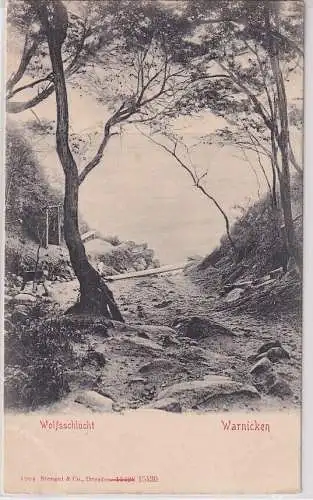 908124 Ak Wolfsschlucht in Warnicken an der Ostsee in Preußen Ostpolen um 1904