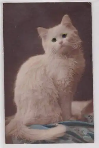 15762 Künstler Ak Katze mit Glasaugen 1926