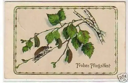 32226 Ak Frohes Pfingstfest mit Maikäfer 1913