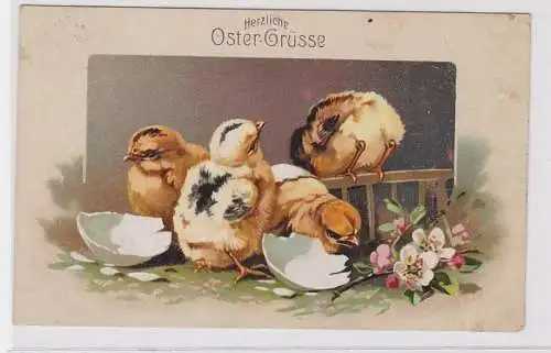 81979 Glückwunsch AK Herzliche Ostergrüsse - Küken schlüpfen aus Ei 1919