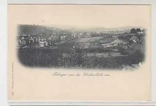 16140 Ak Tübingen von der Eberhardhöhe aus um 1900