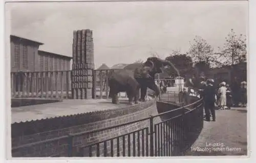 15734 Ak Leipzig Im Zoologischen Garten 1929