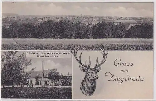 82458 Ak Ziegelroda Gasthof "Zum Schwarzen Ross" Albert Dammköhler 1912