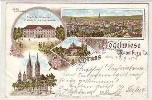 46387 Ak Lithographie Gruß aus Naumburg Vogelwiese 1899