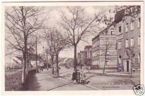 25224 Ak Ammendorf bei Halle Beesenerstraße um 1930