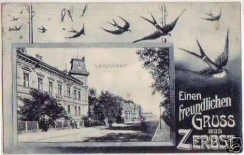 15359 Ak Gruß aus Zerbst Leopoldstrasse 1906