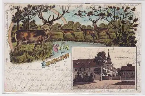 94717 Lithografie AK Gruss aus Badersleben - Ackerbauschule, Hirsche & Rehe 1900