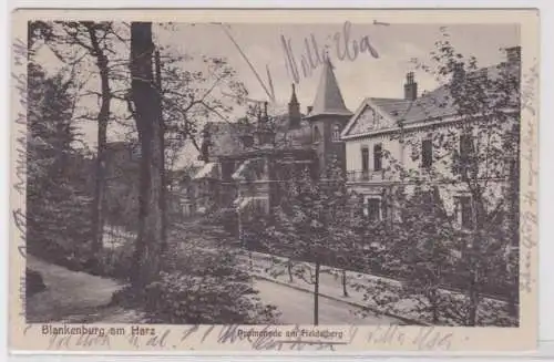 95079 Ak Blankenburg am Harz - Promenade am Heidelberg um 1920