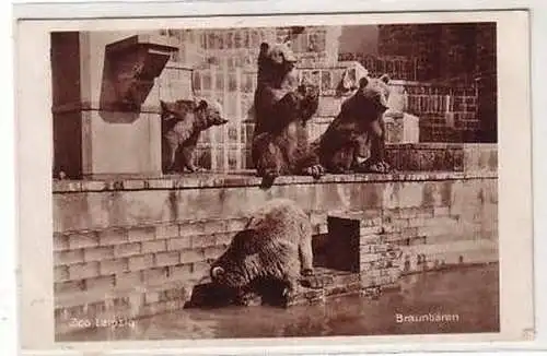 16/21 Ak Leipzig Zoologischer Garten Braunbären 1930