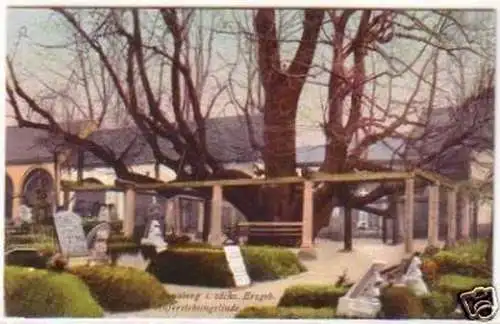 25243 Ak Annaberg im Erzgebirge Auferstehungslinde 1920