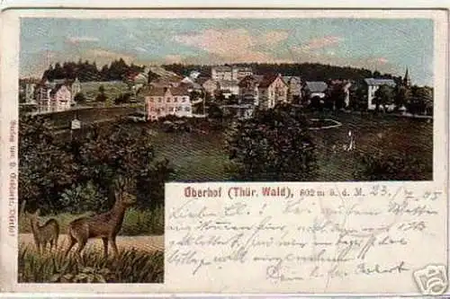 08733 Ak Oberhof Thüringer Wald Totalansicht 1905