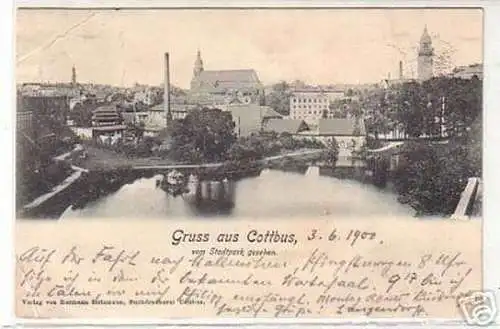 17496 Ak Gruß aus Cottbus vom Stadtpark gesehen 1900