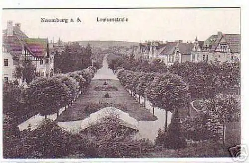 05014 Ak Naumburg an der Saale Louisenstrasse um 1920