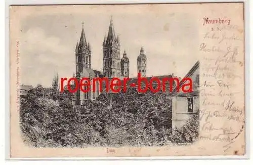 65929 geprägte Ak Naumburg a.S. Dom 1900