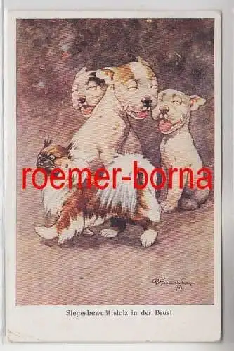 82186 Humor Ak Bulldogge Bonzo 'Siegesbewußt stolz in der Brust' 1933