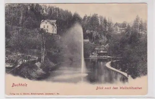 906066 Ak Buchholz - Blick nach dem Waldschlösschen 1906