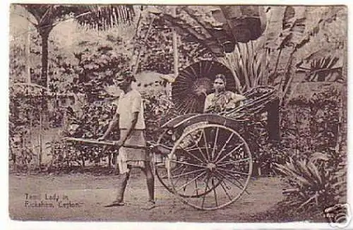 12758 Ak Ceylon Tamil Lady in Rickshaw 1927