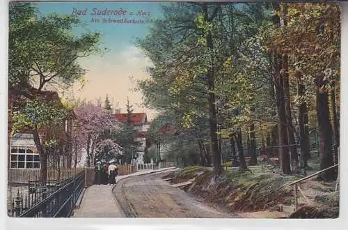 70699 Ak Bad Suderode am Harz am Schwedderholz um 1910