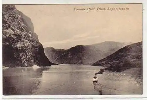 36091 Ak Sognefjorden Fretheim Hotel Flaam um 1910