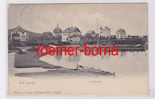 81613 Ak Bad Lausigk Villenkolonie 1905