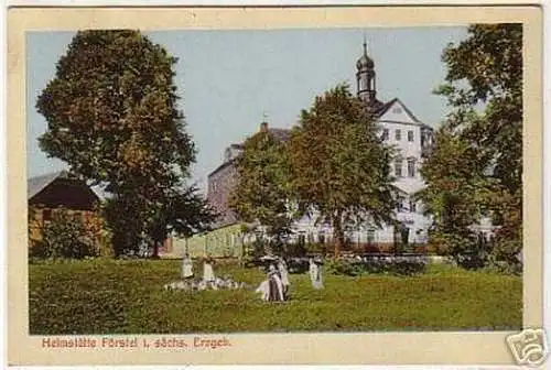 07988 Ak Heimstätte Förstel im sächs. Erzgebirge 1915