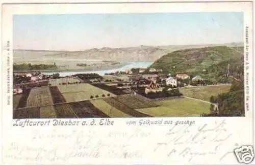 23012 Ak Luftcurort Diesbar a.d. Elbe vom Golkwald 1909