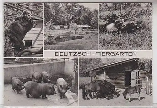 56106 Mehrbild Ak Delitzsch Tiergarten 1977