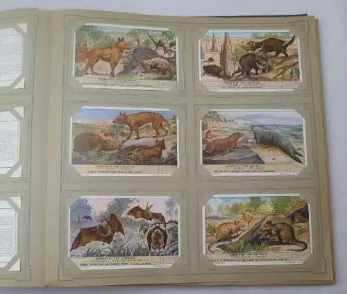 Liebigbilder Niederlande "Zoogdieren van Australie"" komplett um 1920 (14/ Di 03