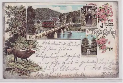 58379 Lithografie AK Gruss aus Treseburg - Hotel Forelle, Pfeil-Denkmal 1897