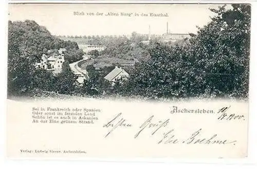65448 Ak Aschersleben Blick von der "Alten Burg" in das Einethal 1900