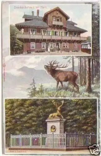 11147 Mehrbild Ak Dambachshaus im Harz um 1920