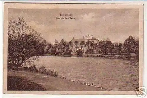 06799 Ak Bitterfeld am großen Teich 1920