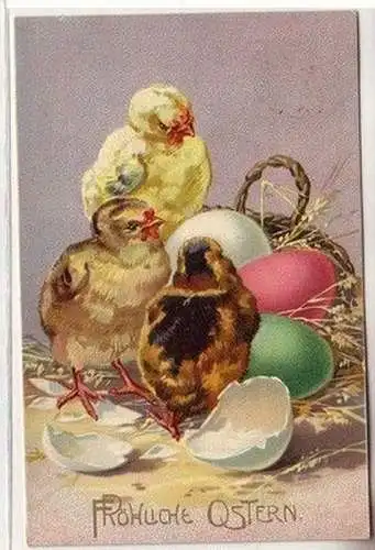 59984 Fröhliche Ostern Präge Ak 3 frisch geschlüpfte Küken 1916