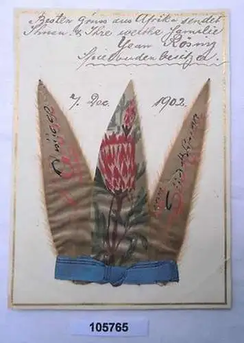 105765 Souvenir Kolonien Karte Grüße aus Südafrika 1902