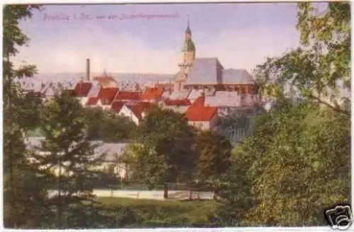 26340 Ak Rochlitz von der Junkerbergpromenade 1922