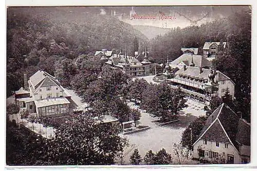 00314 Feldpost Ak Alexisbad Harz 1916