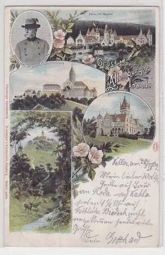 91263 Lithografie AK Gruss aus dem Altenburger Lande, diverse Schlösser & Burgen