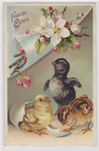 88625 Fröhliche Ostern Präge Ak 3 geschlüpfte Küken 1910