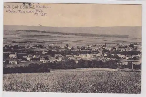 31616 Ak Bad Oppelsdorf Opolno Zdrój Totalansicht 1918