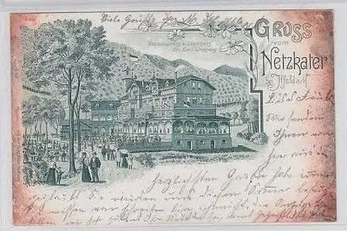 59320 Ak Lithographie Gruß vom Netzkater bei Illfeld am Harz 1902