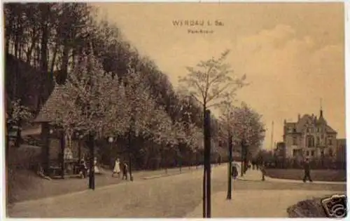 14431 Ak Werdau in Sachsen Parkstrasse 1910