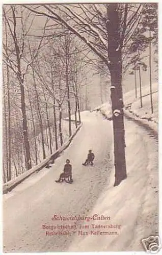 14928 Ak Schweinsburg Culten Rodelbahn um 1920