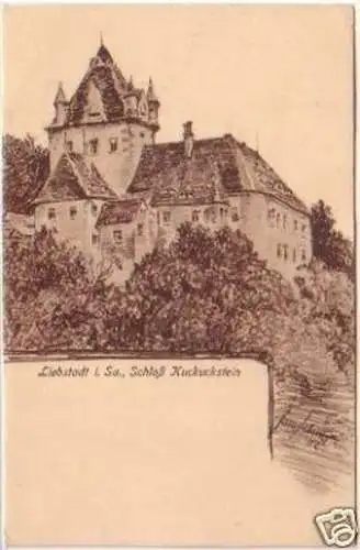 21573 Ak Liebstadt in Sa. Schloß Kuckuckstein 1925