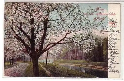 60407 Ak Gruß von der Baumblüte Rötha in Sachsen 1905